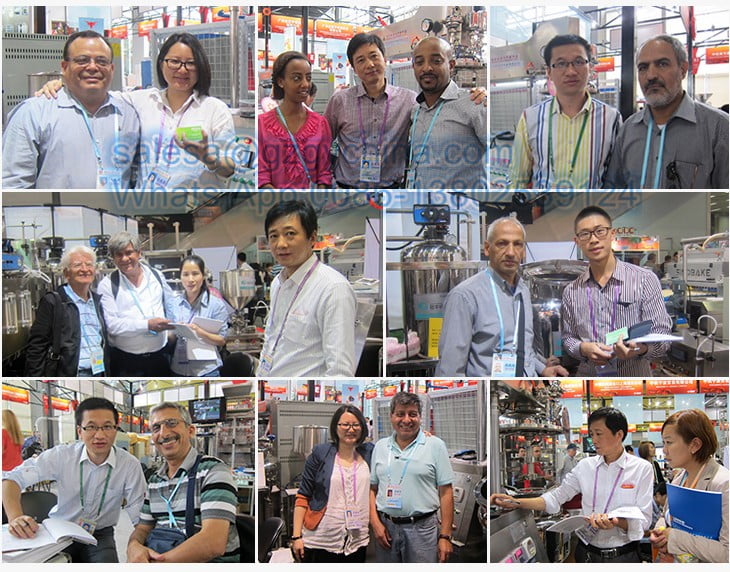 Cosmetic Homogenizer Mixer