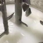 Best Cream Homogenizing Emulsifier Mixer Vacuum Emulsifying Mixer Company - GUANYU